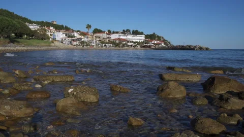 Beach grass sunset Vidéo 155176710