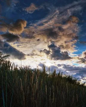 Beach grass under a dramatic sky with clouds and sunshine in the background. Foto stock
