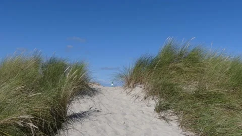 Beach grass &amp; white sand in summer - blue sky, lighthouse, seagull in background Stock Footage 139212172