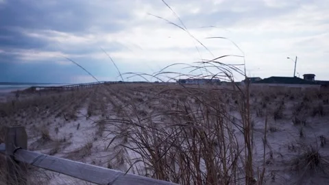 Beach Grass in wind showing buildings Video stock 232543319