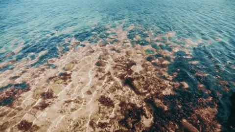 Beach green bawl Stock Footage 240718407