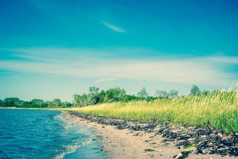 Beach with green fields and blue sky Stock Photos