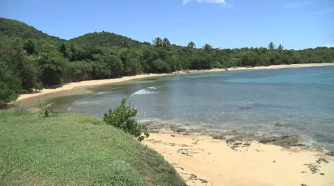 Beach greenery pan left right Stock Footage 30789530