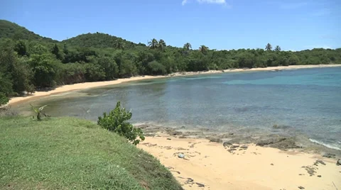 Beach greenery pan left right Stock Footage 30789538
