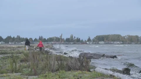 Beach Grove Storm Couple Walking 2 Stock Footage 163860795