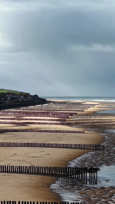 Beach with groynes below cliffs, Opal Coast, France, vertical Stock Footage 347178907