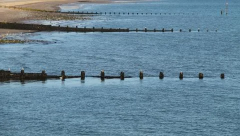 Beach Groynes. Stock Photos