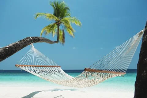 Beach Hammock between two palm trees on the maldives Stock Photos