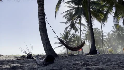 Beach Hammock 库存影片 254640463