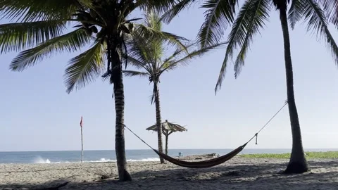 Beach Hammock 库存影片 254640507