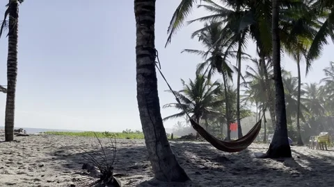 Beach Hammock Vidéo 254640515