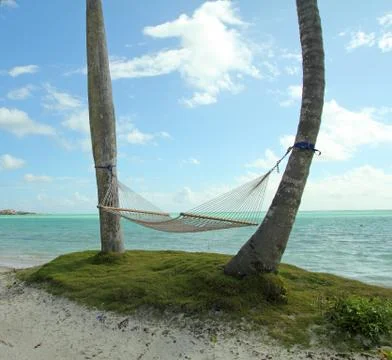 Beach hammock Stock Photos