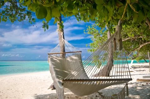 Beach hammock Stock Photos