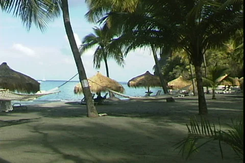 Beach Hammocks Video stock 816369