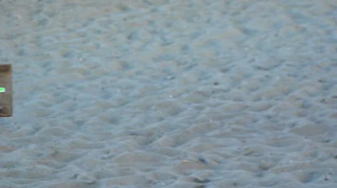 Beach happy ever after sign 스톡 동영상 12289178