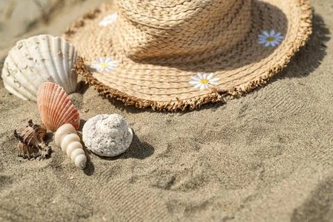 Beach hat and shells on the sand Stock Photos