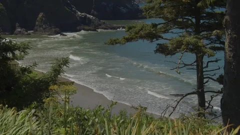 The beach at Heceta Head, Oregon Vidéo 262793570