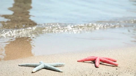 Beach holiday Stock Footage 8688283