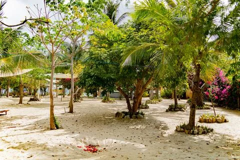 Beach holidays. Фото