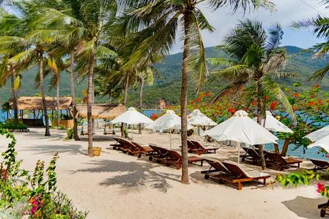 Beach holidays. Photos