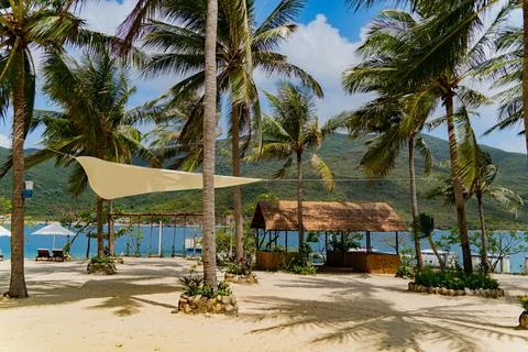 Beach holidays. Photos