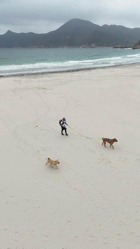 Beach (Hong Kong) Stock Footage 277487426