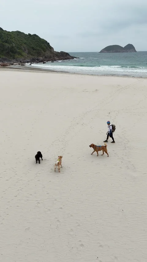 Beach (Hong Kong) Stock Footage 277487489