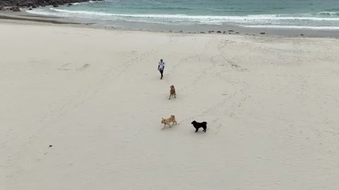 Beach (Hong Kong) Stock Footage 277487564