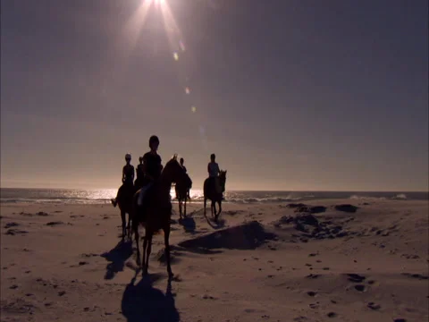 Beach horse-riding Stock Footage 27359196