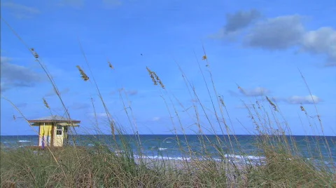 Beach house  Stock Footage 622942