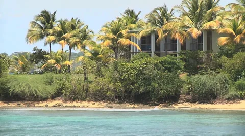 Beach house palm trees close Stock Footage 33254465