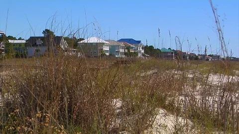 Beach house row behind sand dunes and sea oats under blue sky Stock Footage 70066643