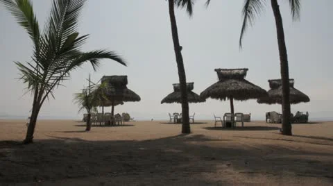 Beach Huts and Palm Trees Stock Footage 22258411