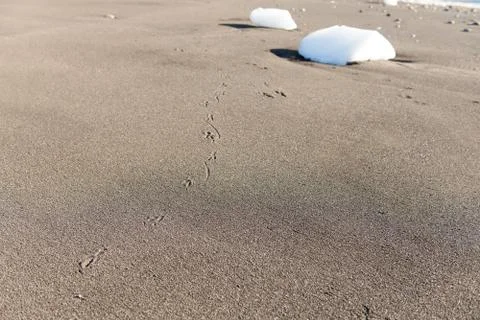 Beach with ice blocks Stock-Fotos