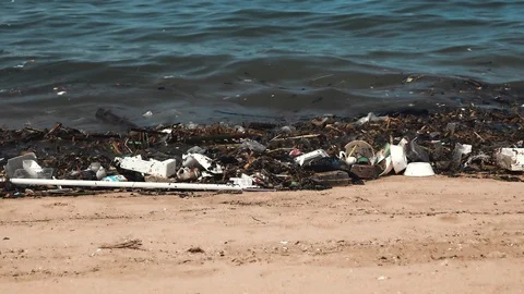 Beach invaded by garbage, pollution of the sea Stock-Footage 86467913