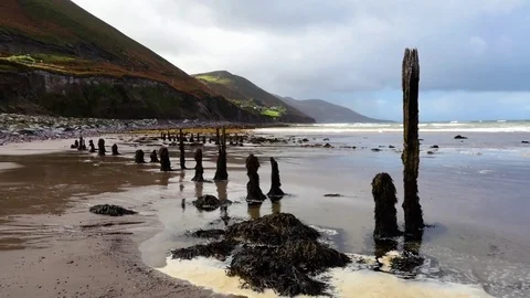 Beach in Ireland Stock-Footage 81713138