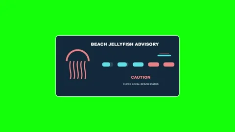 Beach Jellyfish Advisory Status Green Screen Overlay Stock Footage 344029220