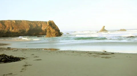 Beach Jogger Stock Footage 583503