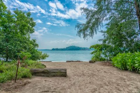 Beach in the Jungle Stock Photos