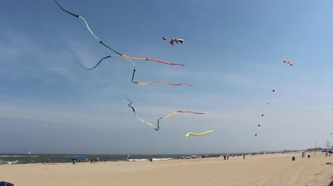 Beach Kites Flying 库存影片 52179074