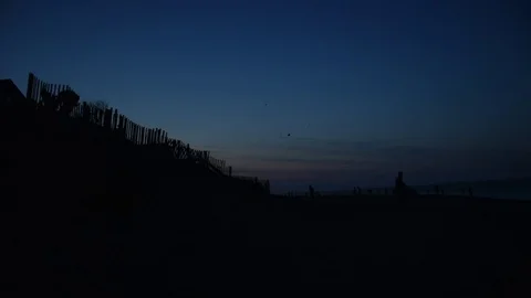 Beach with Kites Stock Footage 71247456