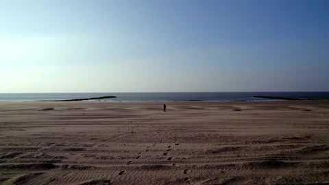 Beach-Knokke-Heist Stock Footage 239564582
