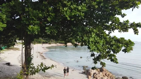 Beach on Koh Samui in Thailand 스톡 동영상 228529219