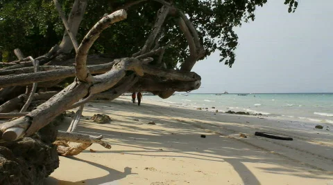 Beach Labor Stock-Footage 664255