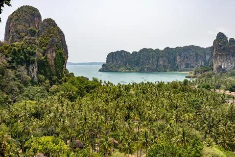 Beach lagoon surrounded by dense tree forest with rocky mountains Stock Photos