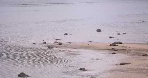 Beach lake 스톡 동영상 116760002