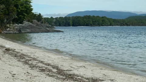 Beach on lake Manapouri Stock Footage 260367099