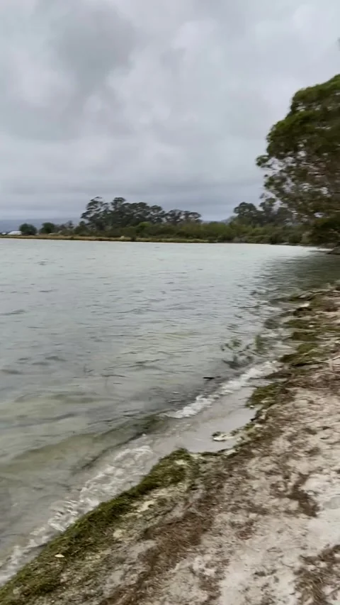 Beach lake in Rotorua Vidéo 344122933