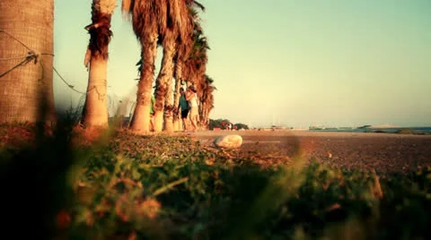 Beach land scape 2 Stock Footage 25405324