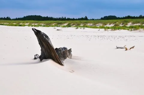 Beach landscape on the Baltic Sea in Poland Stock Photos
